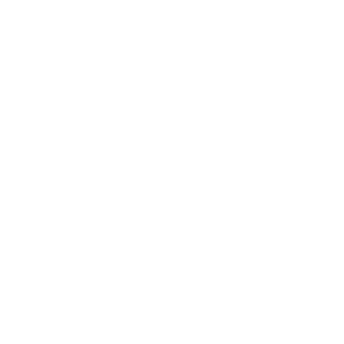 Steady Minds logo